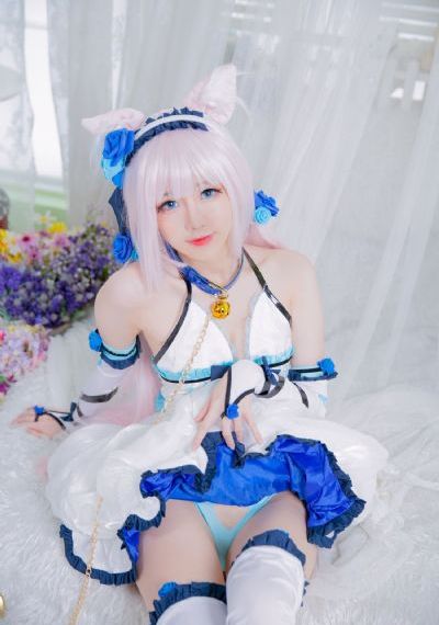 征服在线观看免费全集_720完整视频观看