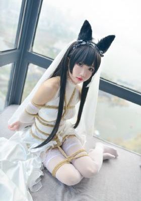 青囊传 电视剧_4K全集在线观看
